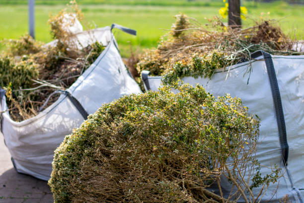 Best Carpet Removal and Disposal  in Capac, MI
